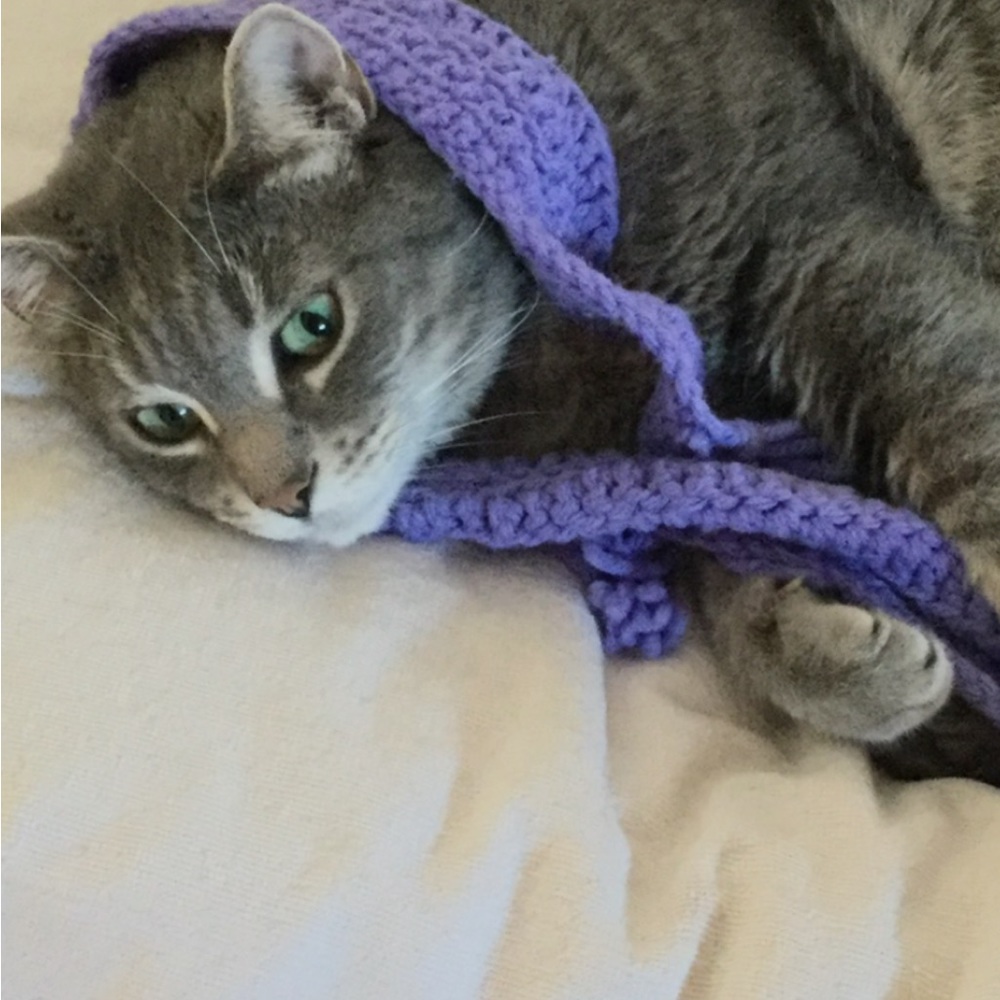 Meet your Posher, Linda